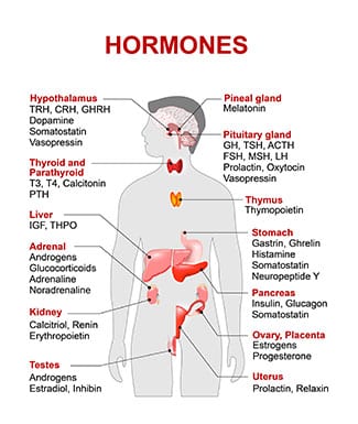 hormone-therapy-solutions-st-pete-fl